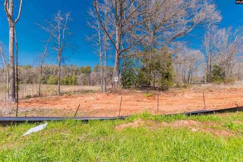 0 Woodside Shores Drive, Prosperity, SC 29127