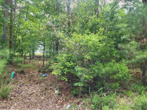 Forest Ridge Drive, Newberry, SC 29108