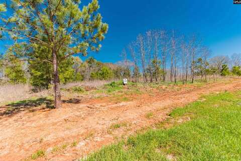 0 Adventure Bay, Prosperity, SC 29127