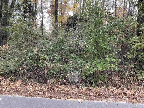 Henry Street, Bamberg, SC 29003