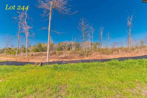 0 Woodside Shores Drive, Prosperity, SC 29127
