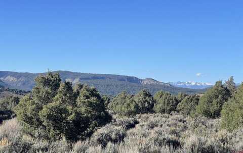 X S Rockcliff Circle, Pagosa Springs, CO 81147
