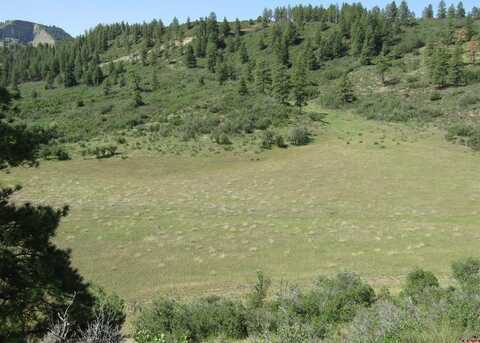 9144 W US Hwy 160, Pagosa Springs, CO 81147