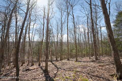 L11.6b Rossman Valley Rd, Summit, NY 12175