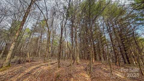 Crestview Drive W, Creston, NC 28615