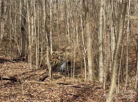 99999 Chesterfield Drive, Mill Spring, NC 28756