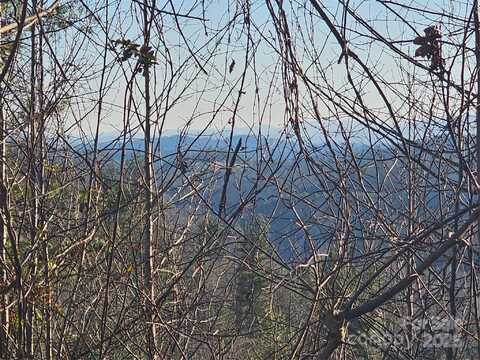 1820 Grapevine Road, Marshall, NC 28753