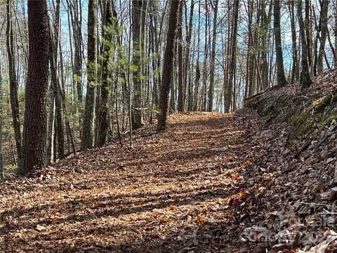 0 Taylorsville Road, Taylorsville, NC 28681