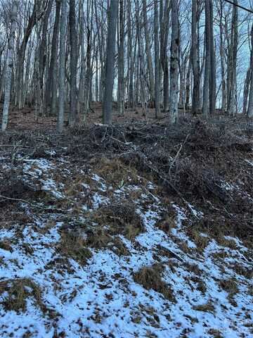 000 Puncheon Lane, Mars Hill, NC 28754