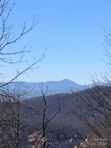 9999 Ebby Ridge Drive, Fairview, NC 28730