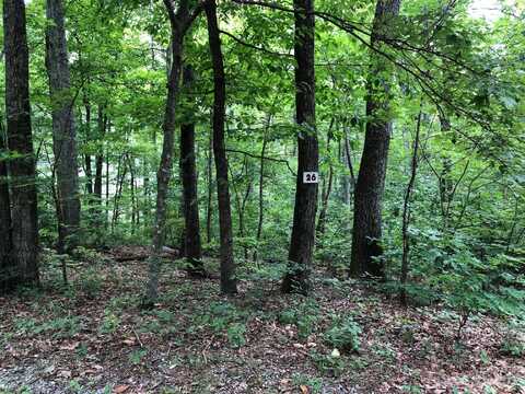 00 Butler Ridge Trail, Hendersonville, NC 28792