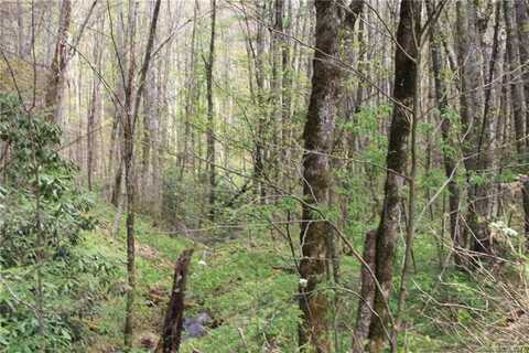 Big Spring Trail unit: 61, Kelly, NC 28719