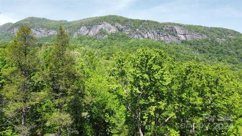 0 Mintwood Court, Lake Lure, NC 28746