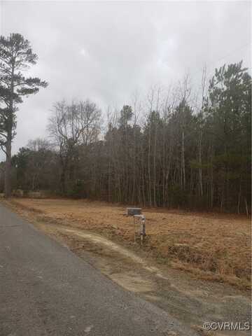 7016 Chippokes Road, Spring Grove, VA 23881