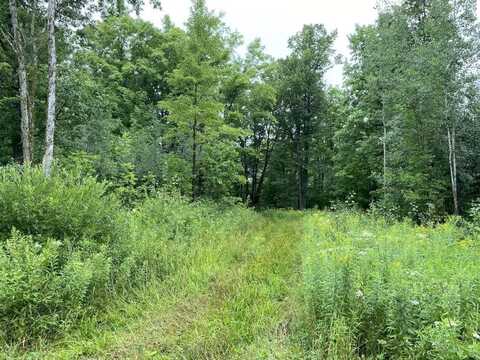 On JOE SNOW ROAD, Merrill, WI 54452