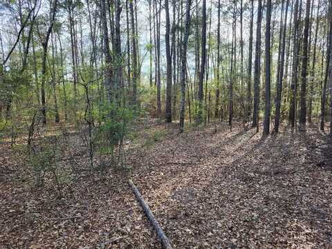 0 Doctors Point Road, Abbeville, AL 36312