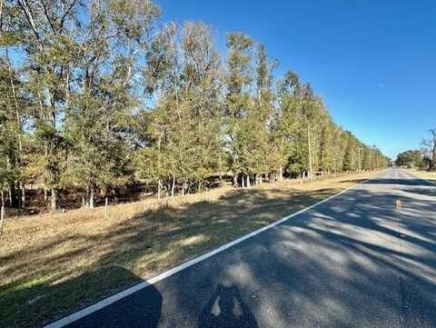 County Road 236, Bell, FL 32619