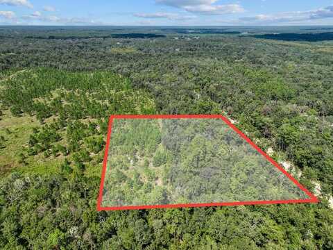 203rd Ave, Old Town, FL 32680