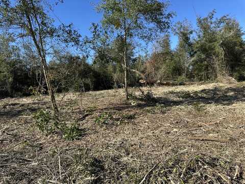 31 Indian Bluff Drive, Youngstown, FL 32466