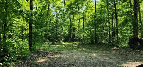 3625 E Simmons RD, Hessel, MI 49745