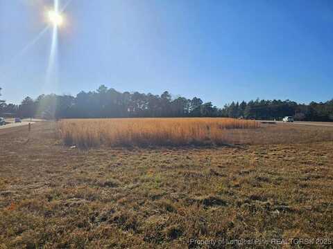0 Nicholson Road, Sanford, NC 27332