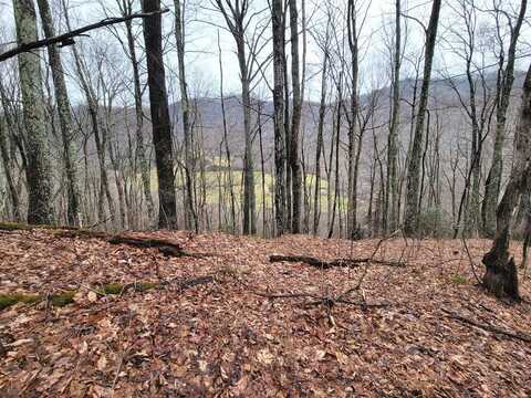 820 Chestnut Flats Lane, Waynesville, NC 28786