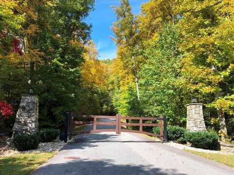 30 Cadillac Pointe, Waynesville, NC 28785