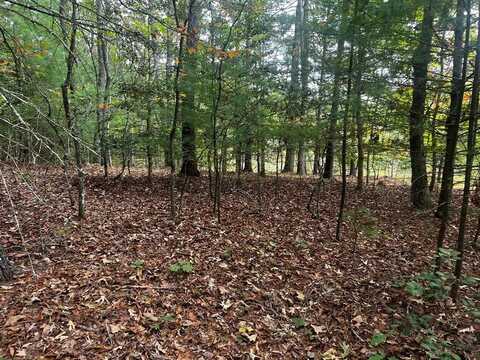 Tbd John Taylor Road, Murphy, NC 28906
