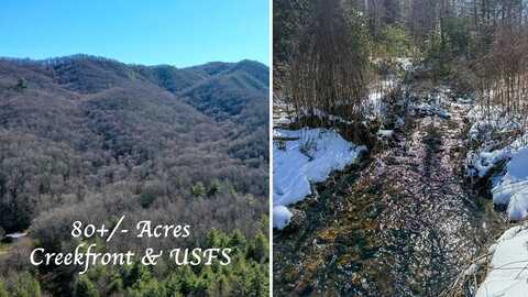 19801 WAYAH RD, Topton, NC 28781