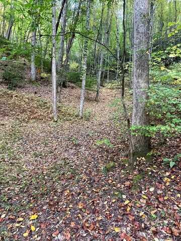 Lot 18 Bartram Trl Rd, Franklin, NC 28734