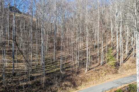 11 Prosperity Ridge Road, Waynesville, NC 28785