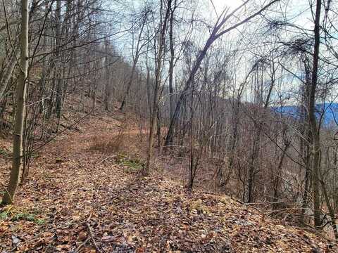 75 Rimrock Ridge, Clyde, NC 28721