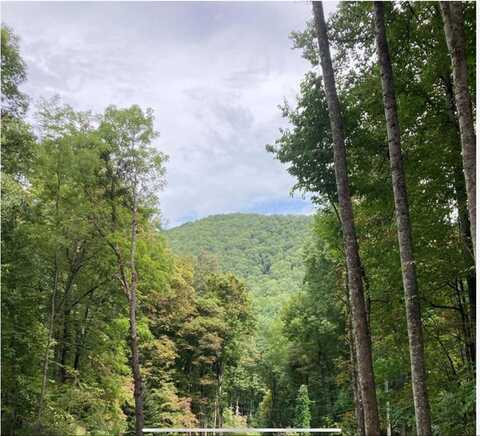 Laurel Dr, Whittier, NC 28789