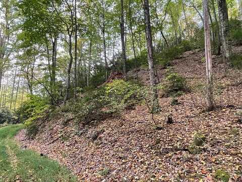 Lot 19 Bartram Trl Rd, Franklin, NC 28734