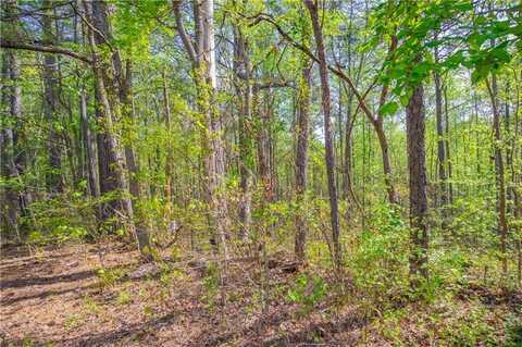 0 Lake Esther Drive, Fairburn, GA 30213