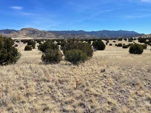 38 & 39 Brahman Road, Magdalena, NM 87825