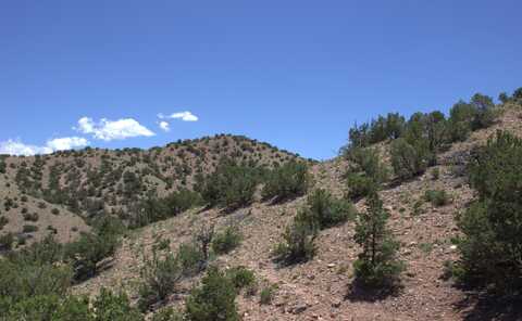 Tres Amigos, Placitas, NM 87043