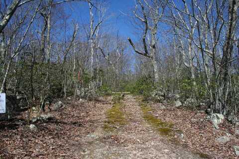 TBD SUMMIT DR, MONTEREY, VA 24465