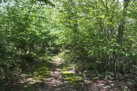TBD SUMMIT DR, MONTEREY, VA 24465