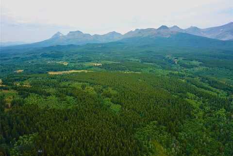 0 Rip Rap Lane, East Glacier, MT 59434