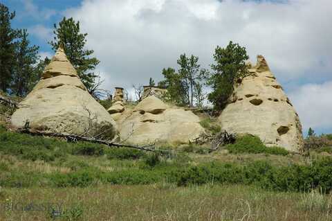 NHN Rock Canyon Lane unit: Blk-4, Hysham, MT 59038