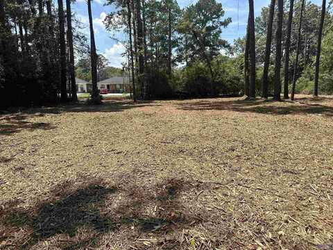2 Acres Norma Dr, Denham Springs, LA 70726
