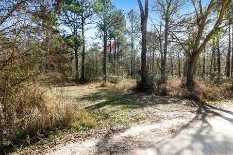 16045 Williams Road, Coden, AL 36523