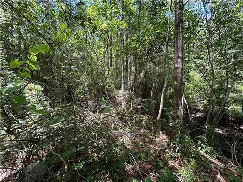 0 Bayou Pines Drive, Coden, AL 36523