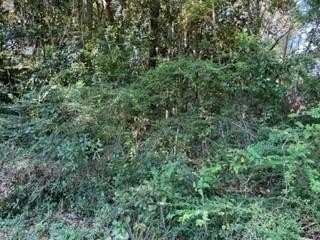 5710 Woodchase Circle W, Theodore, AL 36582