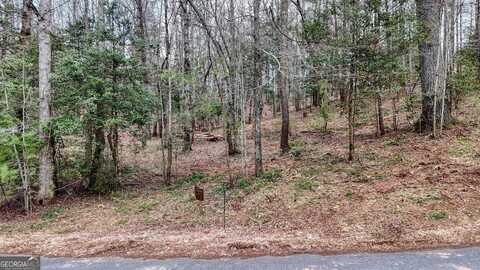 Lot 14 Fiddlers Cove, Blairsville, GA 30512