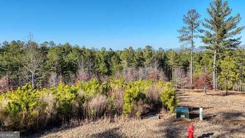 Lot 328 Thirteen Hundred, Blairsville, GA 30512
