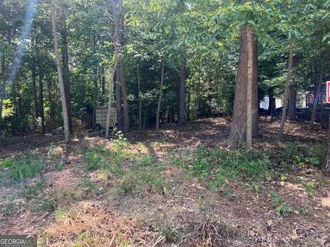 0 Big Water, Hartwell, GA 30643
