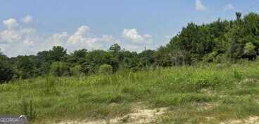 2171 Ga Highway 133, Moultrie, GA 31768