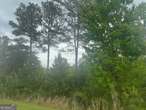 L231 Ridge Point, Blairsville, GA 30512